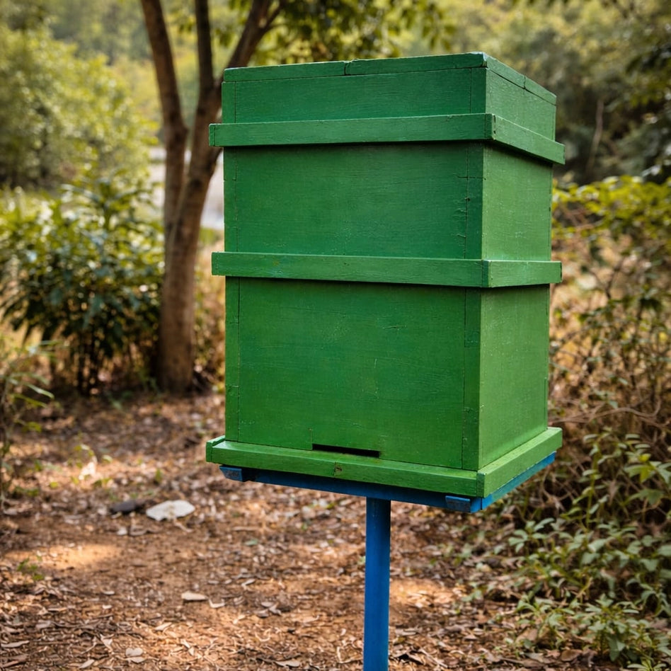 Honey Bee Box